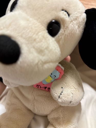 よろしくおねがいします♪