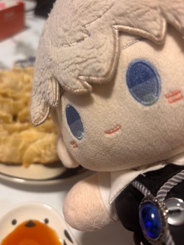 パートナーが俺に🥟を焼いてくれた。ちゃんと半分こするぞ、でも食べきれない分があれば俺が引き受ける😋