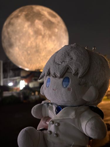 下北沢のムーンアートナイトに行ってきたぞ。大きな月だな…🌕お餅は食べさせてもらえるのか？🐇