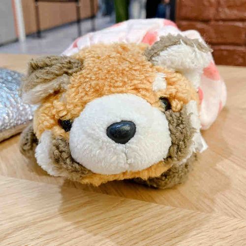 初めまして！もちです！
れっさーぱんだのぬいぐるみ🧸
2011年11月1日生まれ
🎀女の子🎀
よろしくお願いします🙌🏻⸝⸝