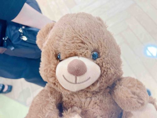 新しく買ったぬいぐるみ🧸
ガチ可愛いい尊い!!!!!!!
名前募集中です🥰