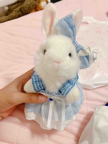 今日9月11日は…
 いちごちゃんの誕生日！🍓🐰
プレゼントはこの可愛いお洋服だよ💠🎀似合いすぎててやばかわ😍ケーキ作ったけど砂糖と果物入れ忘れたり生クリーム作りすぎて萎えちゃって写真撮り忘れちゃった😿普段の苺ちゃんもまた今度投稿するね！🥰