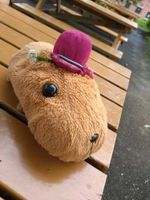 カピちゃん