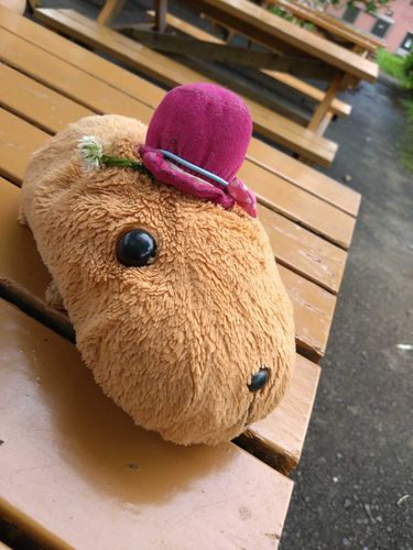 ぼく
カピちゃんです

おとこのこです
　好きな食べ物は
豆です！

よろしくね