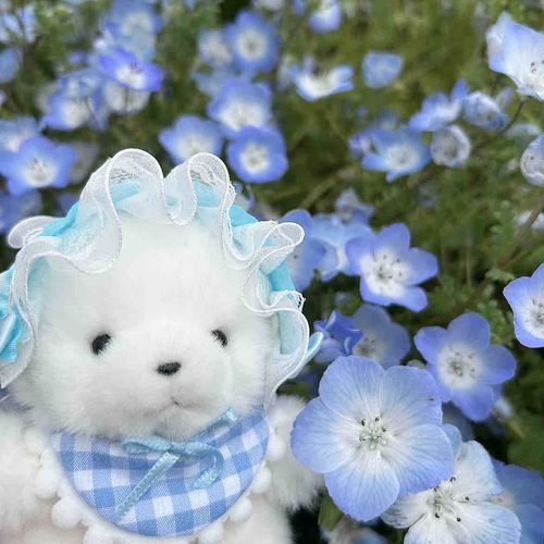にんげん このため に へっどどれす つくってた てこと！
ねもふぃら きれい な おはな🐻‍❄️🩵