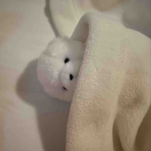 にんげん の ようつう とんでけ〜 する おしごと🏥