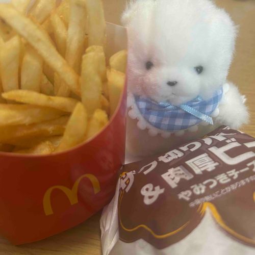 にんげん だいえっと おしまい？