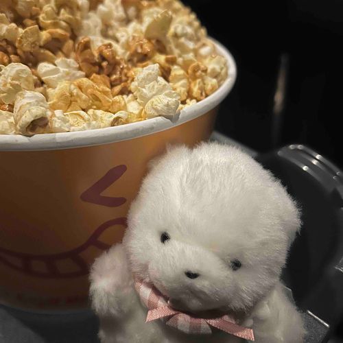 はじめて えいがかん に つれていって もらったよ🎥
きれい な えいが だった♪
にんげん は ぽっぷこーん ひとり で たべすぎ かも…🍿