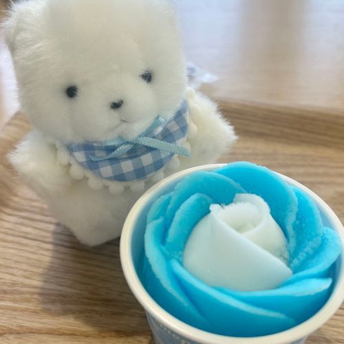 ねもふぃら あいす🍨✨️
ことし も にんげん と ねもふぃら みれた！
らいねん も いっしょ に いこう ね♪