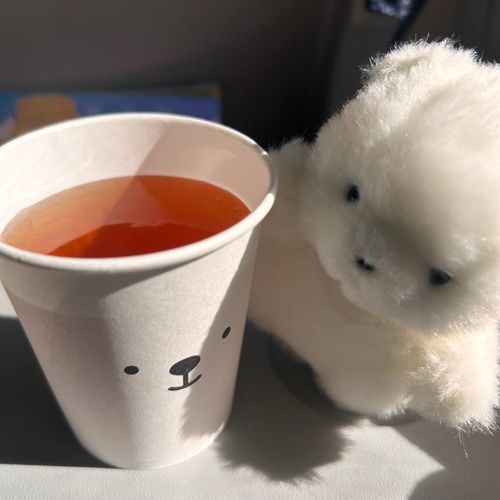 はじめて の ひこうき✈️
おにおん すーぷ が おいしかった♪
こっぷ の おかお が なんだか にてる？