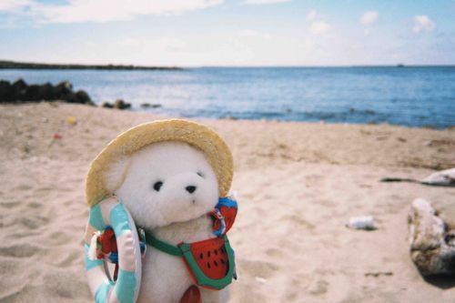 夏楽しみマン🍉🏝️