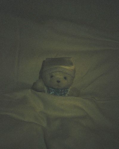 ｵﾔｽﾐﾅｻｲ🌙💤