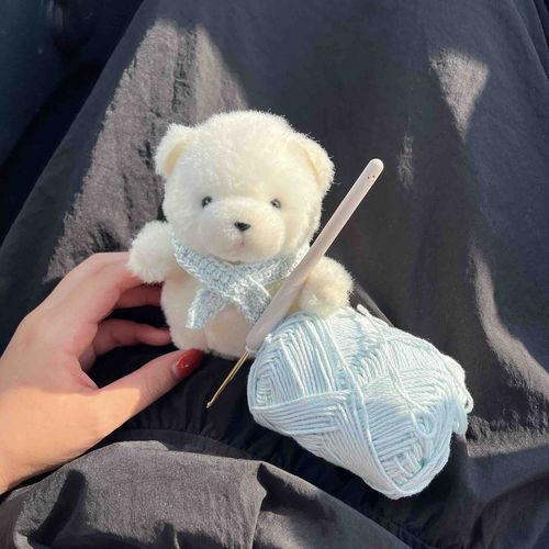 地元から東京までの移動時間暇だから小学生ぶりに編みものしてみた🧶いつかこまちゃんの洋服作れるようになりたい