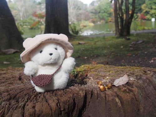 弾丸軽井沢ドライブ
どんぐりがたくさん落ちてました🍂