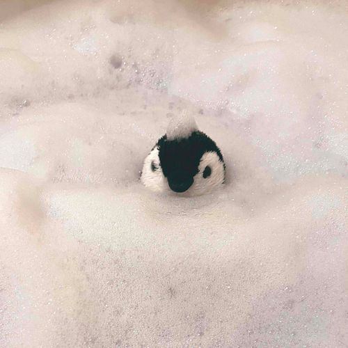 わるくない