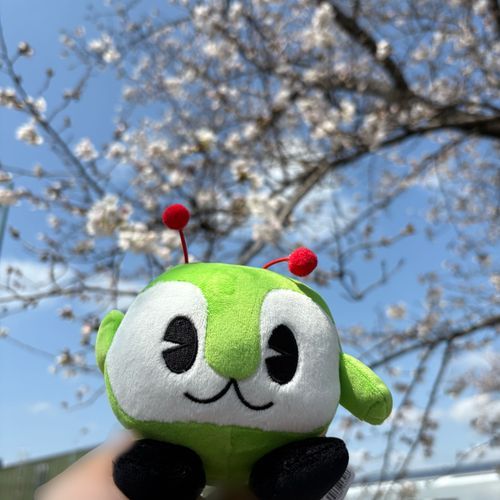 桜を観たよ🌸