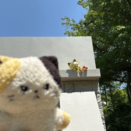 広い視野でみたら同族だ、ね