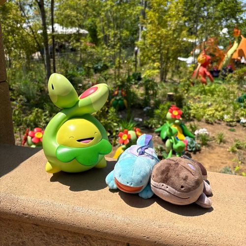 ポケモンフォレスト、最高だった…