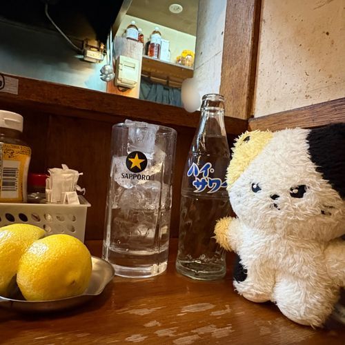 レモンサワー発祥のお店に行きましたヨ
もつ焼きとの相性も抜群でしたわ〜😋
お通し料なしなのもありがたい