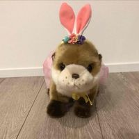 かわうちゃん