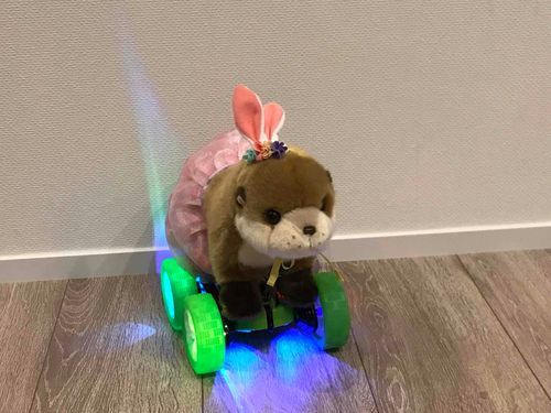 わたしのさいしんののりものがきたー！！