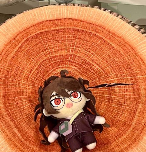 🧸活初心者故写真下手だったりしますが、よろしくお願いします。