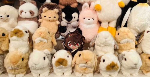 動物🧸に囲まれるゴン太🧸