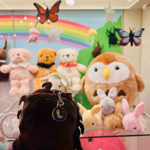 ゴン太「わぁ〜！色んな動物さんや虫さんがいっぱい！」