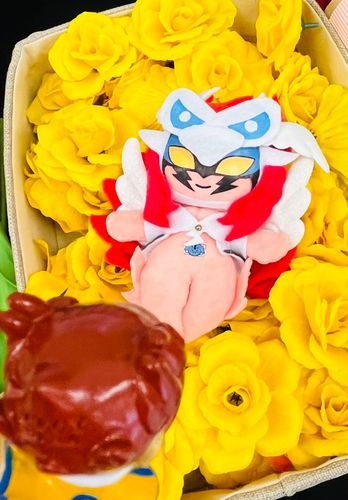 個人的に1番はしゃいでる(様に見える)写真🌼