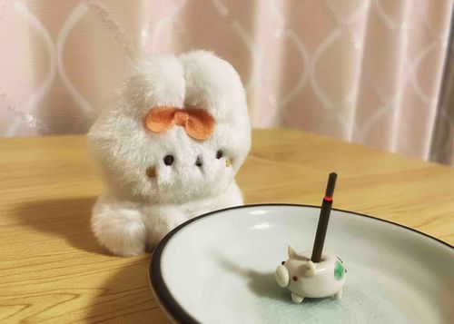 ずっと見てる