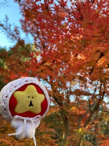 紅葉綺麗だったね　冬が来るよ🪾