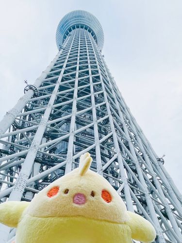 あるじ と であったのは 2025ねん12がつ20にち だいとかい とうきょう 
いまは いなか に すんでるよ
あるじ は おいら を もちもち してくる(  ･᷄д･᷅ )