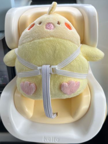 きょうは あるじの ようじに ついていったでち
あるじは ちょっと うんてん が あらいでち…( ›´꒫`‹ )
あと べると が きつかった で…ち…(´˙꒳​˙ ｀)