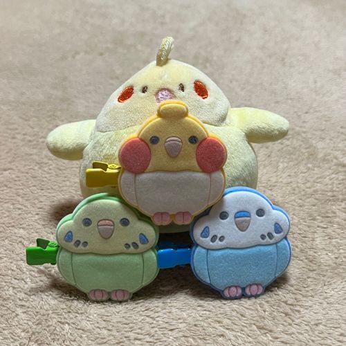 くみ たい そう ！ でち( •̀ω•́ )✧