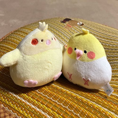 あれ… なんか ぼくと にてるでち…❓