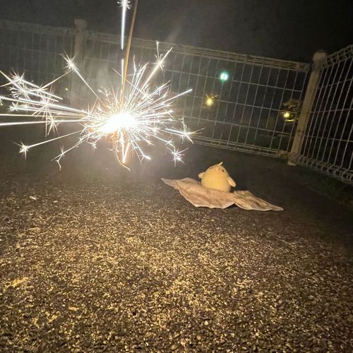 はなび でち！🎇
きれいでち〜(⸝⸝⸝ᵒ̴̶̷ ⌑ ᵒ̴̶̷⸝⸝⸝)