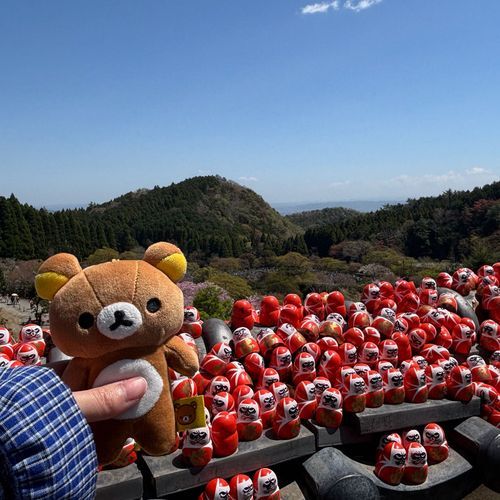 だるまが有名なお寺に行った時の写真
