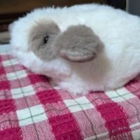 ダイアナ