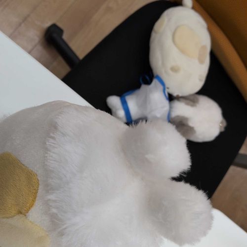 ぬい たち の かいごう
