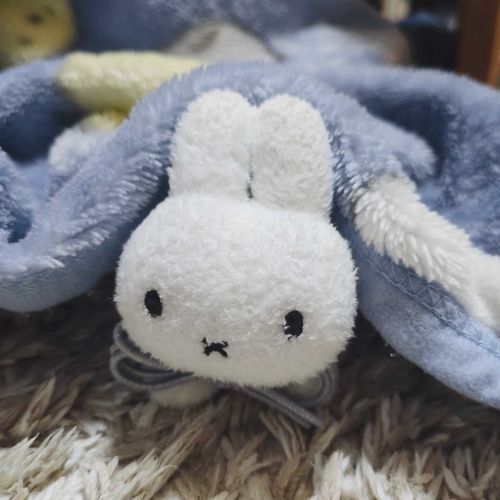 ﾇｼ　と　おひるね　してた
