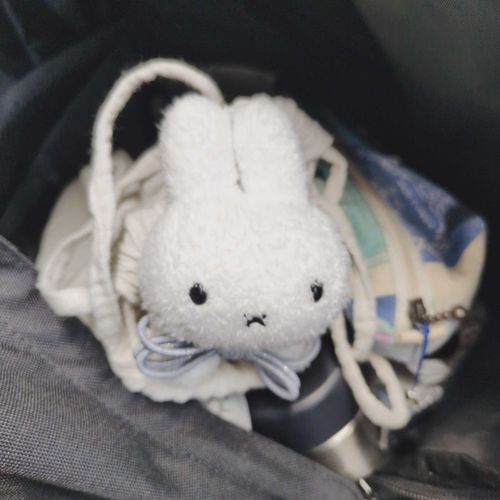 ﾇｼ がんばれ
かばん から おうえん してる