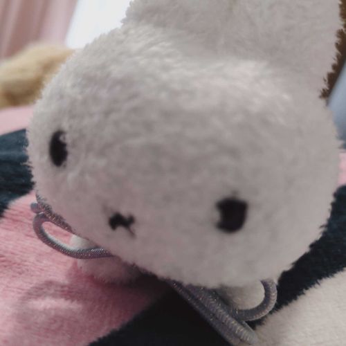 きょう ﾇｼ に おいてかれた ので ﾇｼ に いま げきづめ してる