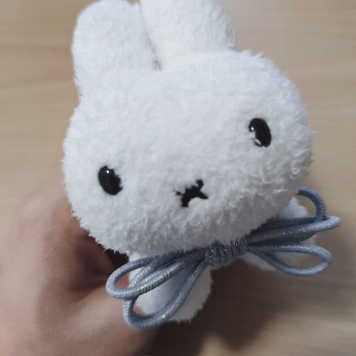 これから ﾇｼ の お出かけ に ついていく！