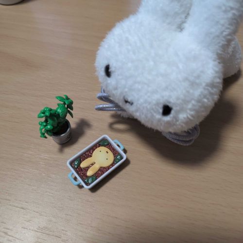 これ つぶ の ごはん