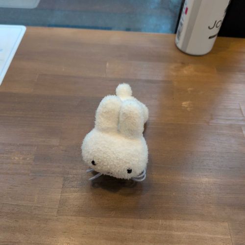 せんたくもの が なまがわき だった から コインランドリー に きたでちよ