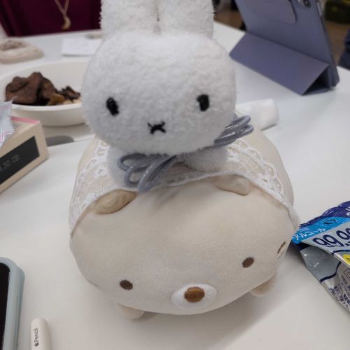 こちら は まーこ さん
美しい
