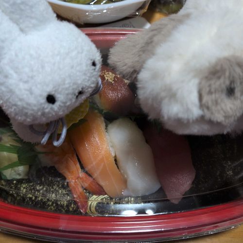 いいでちか？ これ が すしでちよ