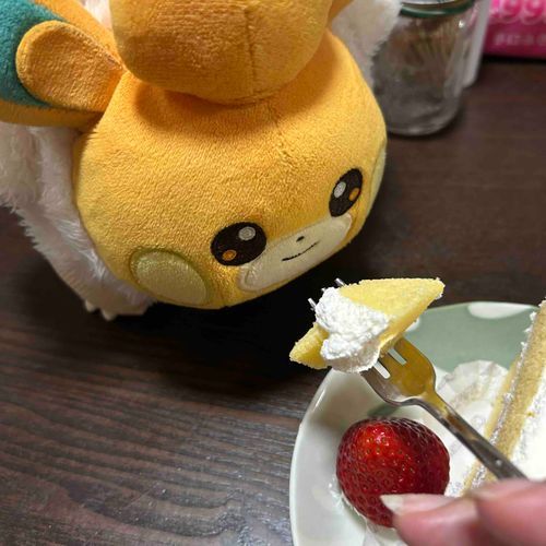 実は本日は飼い主の誕生日なのです…！
ぱもも一緒にケーキ食べようね🎂