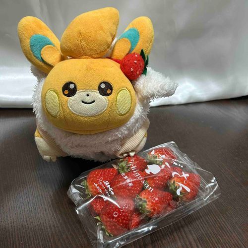今日でぱもがうちの子になってから2年が経ちました！
2年間癒してくれてありがとうね大好きだよ