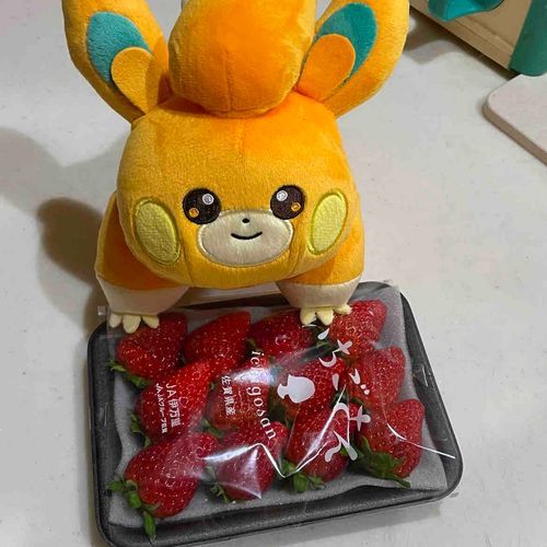うちに来た時も同じような写真撮ってたね